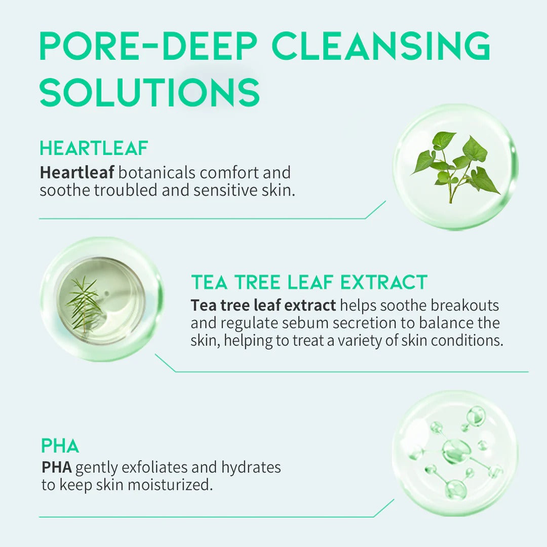 HEARTLEAF PORE ZERO CLEANSER