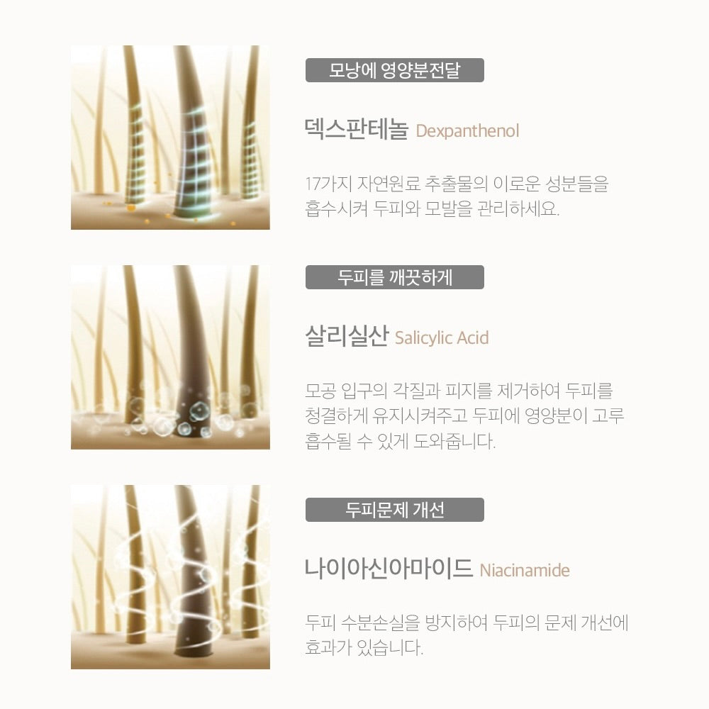 PREMIUM R:BLACK HAIR SHAMPOO 350G